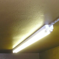 Interior Lighting
